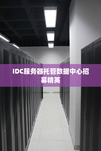 IDC服务器托管数据中心招募精英