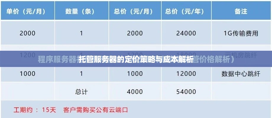 托管服务器的定价策略与成本解析