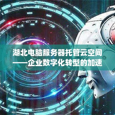 湖北电脑服务器托管云空间——企业数字化转型的加速器