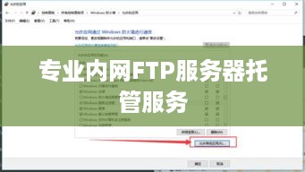专业内网FTP服务器托管服务
