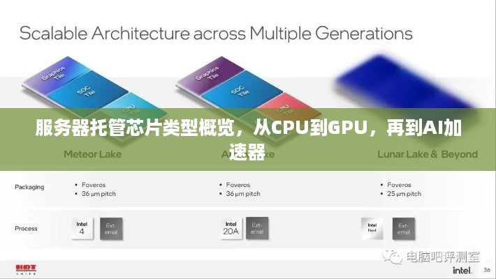 服务器托管芯片类型概览，从CPU到GPU，再到AI加速器