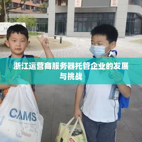 浙江运营商服务器托管企业的发展与挑战