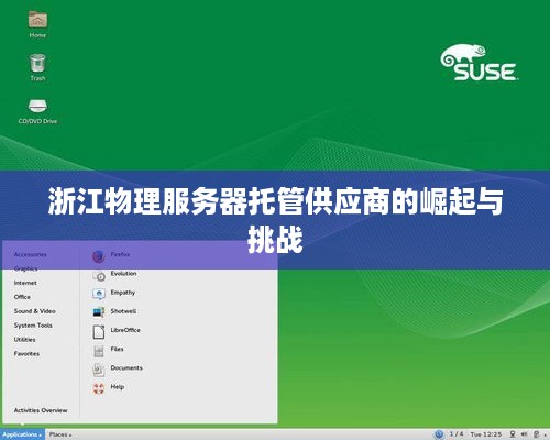 浙江物理服务器托管供应商的崛起与挑战