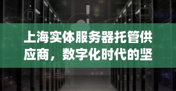 上海实体服务器托管供应商，数字化时代的坚实后盾