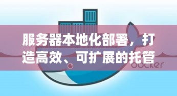 服务器本地化部署，打造高效、可扩展的托管解决方案