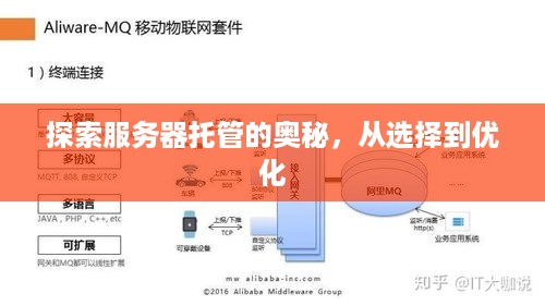 探索服务器托管的奥秘，从选择到优化