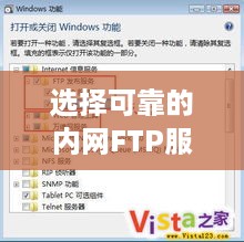 选择可靠的内网FTP服务器托管服务