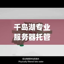 千岛湖专业服务器托管，为企业提供稳固的数据基地