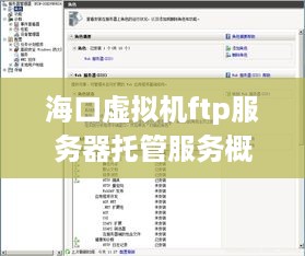 海口虚拟机ftp服务器托管服务概览