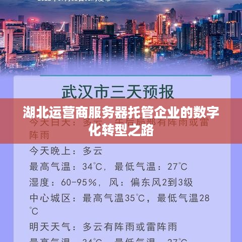 湖北运营商服务器托管企业的数字化转型之路