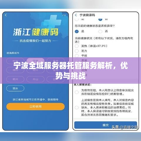 宁波全域服务器托管服务解析，优势与挑战