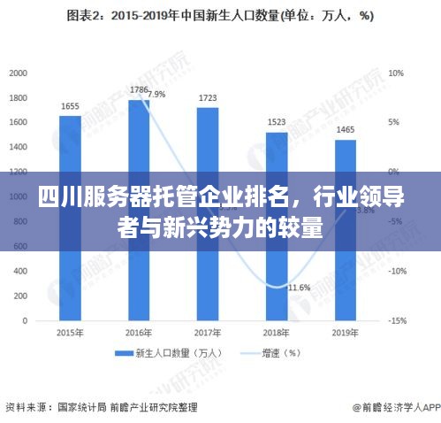 四川服务器托管企业排名，行业领导者与新兴势力的较量