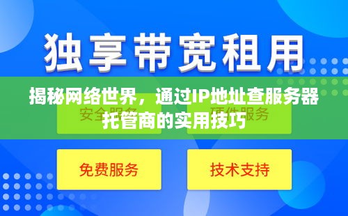 揭秘网络世界，通过IP地址查服务器托管商的实用技巧