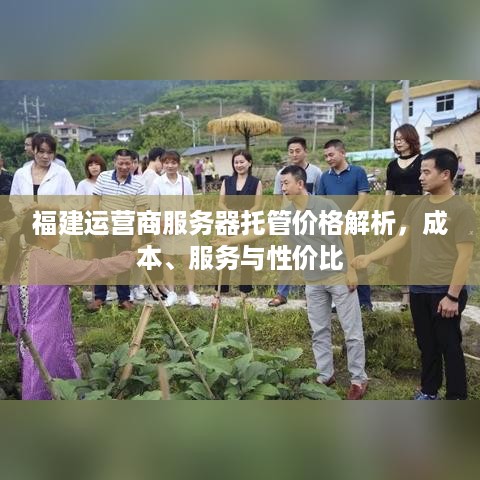 福建运营商服务器托管价格解析，成本、服务与性价比