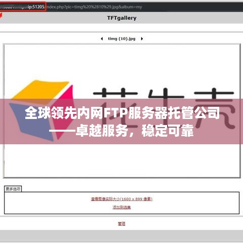 全球领先内网FTP服务器托管公司——卓越服务，稳定可靠