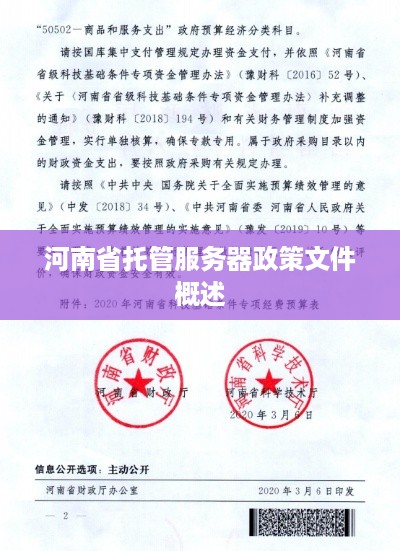 河南省托管服务器政策文件概述