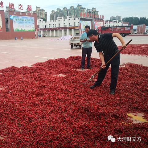 河南中文版服务器托管服务，为您的业务保驾护航