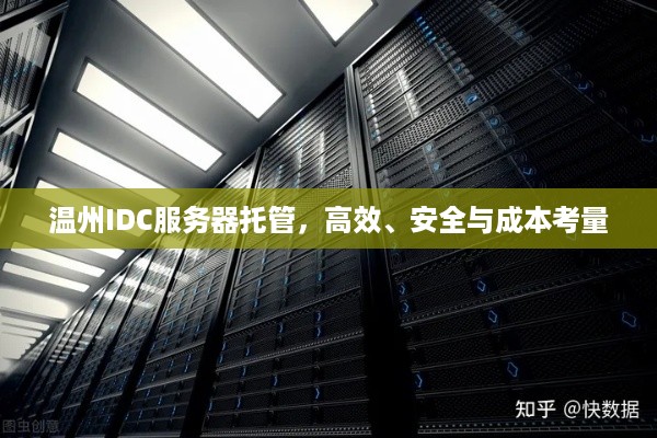 温州IDC服务器托管，高效、安全与成本考量