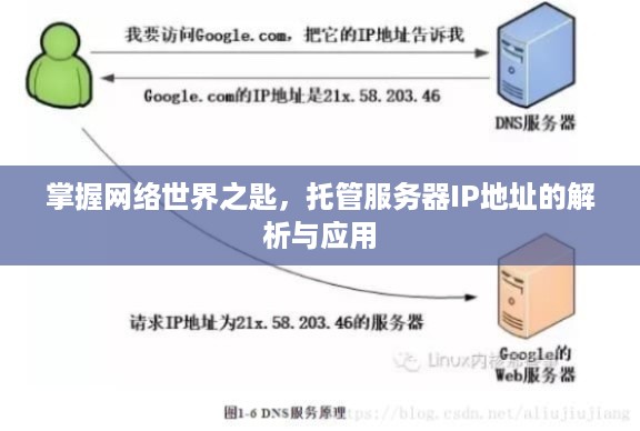 掌握网络世界之匙，托管服务器IP地址的解析与应用