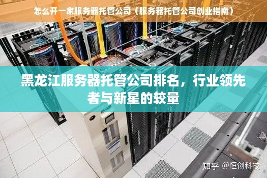 黑龙江服务器托管公司排名，行业领先者与新星的较量