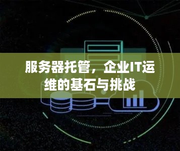 服务器托管，企业IT运维的基石与挑战