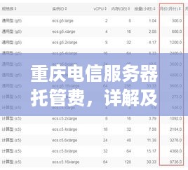 重庆电信服务器托管费，详解及选择指南