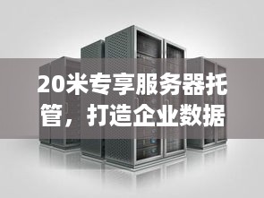 20米专享服务器托管，打造企业数据堡垒的基石