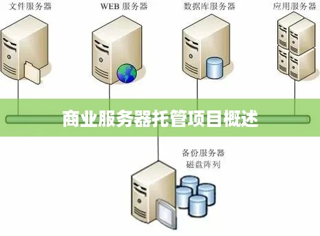 商业服务器托管项目概述