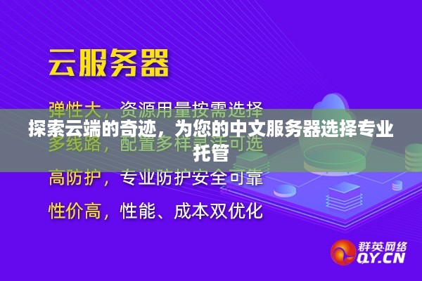 探索云端的奇迹，为您的中文服务器选择专业托管