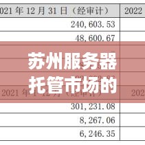 苏州服务器托管市场的现状与年收入分析