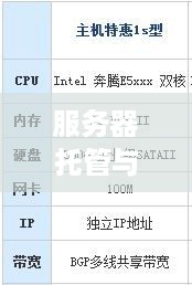 服务器托管与租用的权衡，成本、性能和灵活性的考量