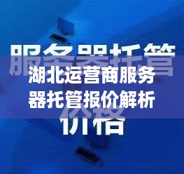 湖北运营商服务器托管报价解析