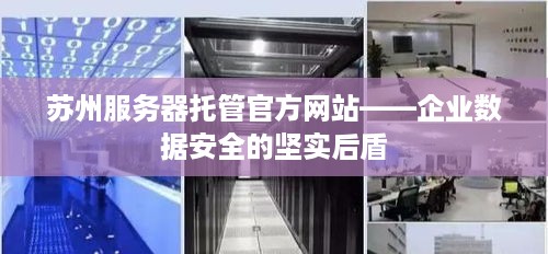 苏州服务器托管官方网站——企业数据安全的坚实后盾