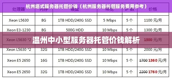 温州中小型服务器托管价钱解析