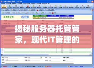 揭秘服务器托管管家，现代IT管理的新宠儿