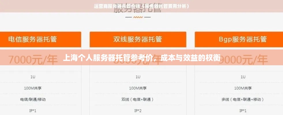 上海个人服务器托管参考价，成本与效益的权衡