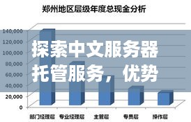 探索中文服务器托管服务，优势、选择与未来趋势