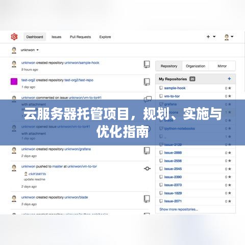 云服务器托管项目，规划、实施与优化指南