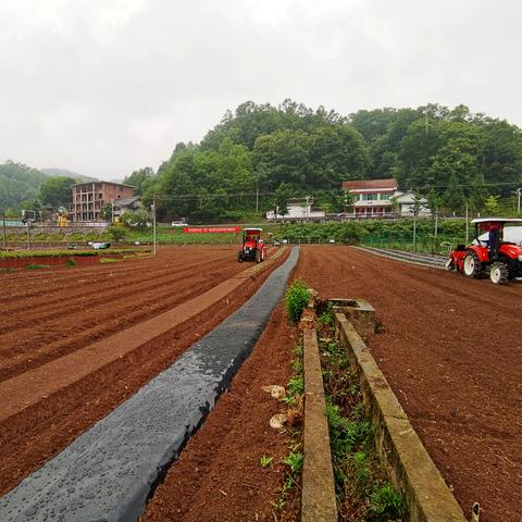 四川本地服务器托管机构的服务解析与选择指南