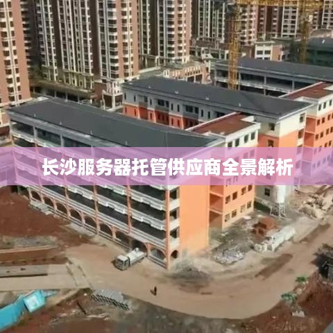 长沙服务器托管供应商全景解析