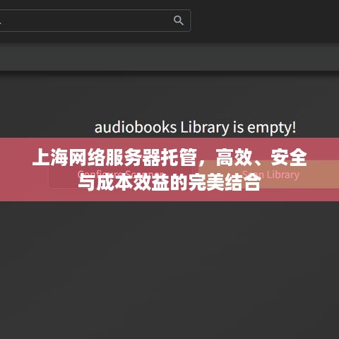 上海网络服务器托管，高效、安全与成本效益的完美结合