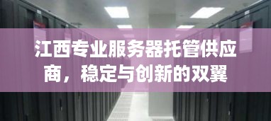 江西专业服务器托管供应商，稳定与创新的双翼