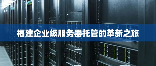 福建企业级服务器托管的革新之旅