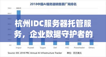 杭州IDC服务器托管服务，企业数据守护者的坚实后盾