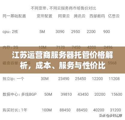 江苏运营商服务器托管价格解析，成本、服务与性价比