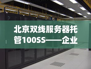 北京双线服务器托管100SS——企业IT基础设施的坚固后盾