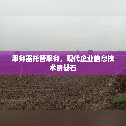 服务器托管服务，现代企业信息技术的基石