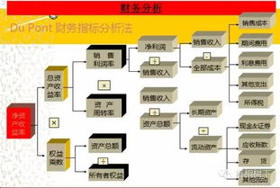 城域网服务器托管业务的全景解析