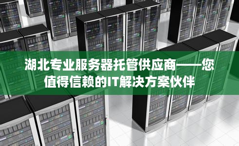 湖北专业服务器托管供应商——您值得信赖的IT解决方案伙伴