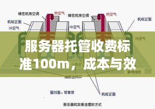 服务器托管收费标准100m，成本与效益的权衡